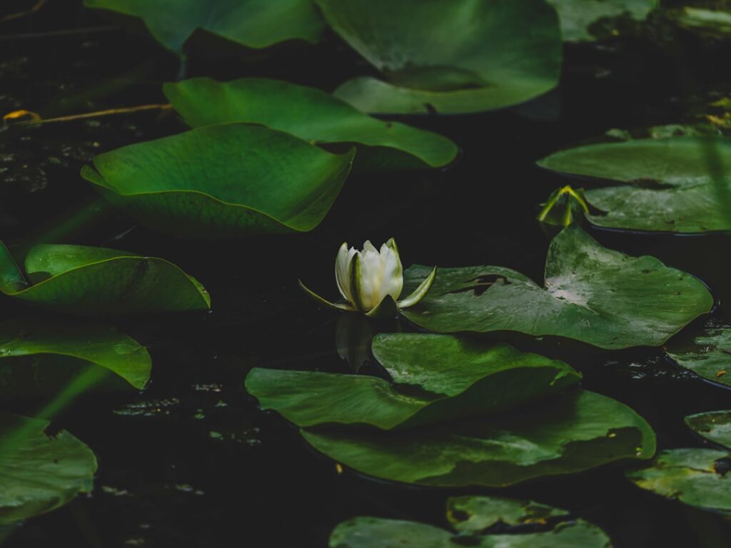découvrez le lotus eletre, un suv électrique alliant technologie de pointe et design audacieux. conçu pour offrir une expérience de conduite unique, il allie performance, autonomie et confort, tout en respectant l'environnement. explorez l'avenir de la mobilité avec le lotus eletre.