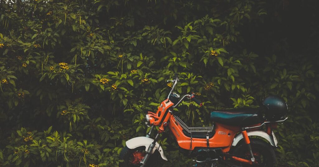 découvrez la gamme complète des motos honda : performance, fiabilité et innovation pour tous les passionnés de deux-roues. trouvez votre moto idéale parmi nos modèles adaptés à tous les besoins et styles de conduite.