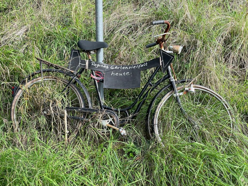 découvrez le vélo hybride, la solution polyvalente idéale pour combiner confort, performance et adaptabilité en ville comme sur les chemins. profitez d'un vélo facile à utiliser, parfait pour vos trajets quotidiens et vos balades de loisir.