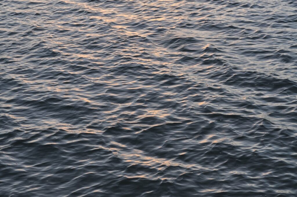 découvrez le seabike, un vélo aquatique innovant qui vous permet de pédaler sur l'eau. profitez d'une activité sportive unique, ludique et écologique pour explorer les lacs et la mer tout en gardant la forme !