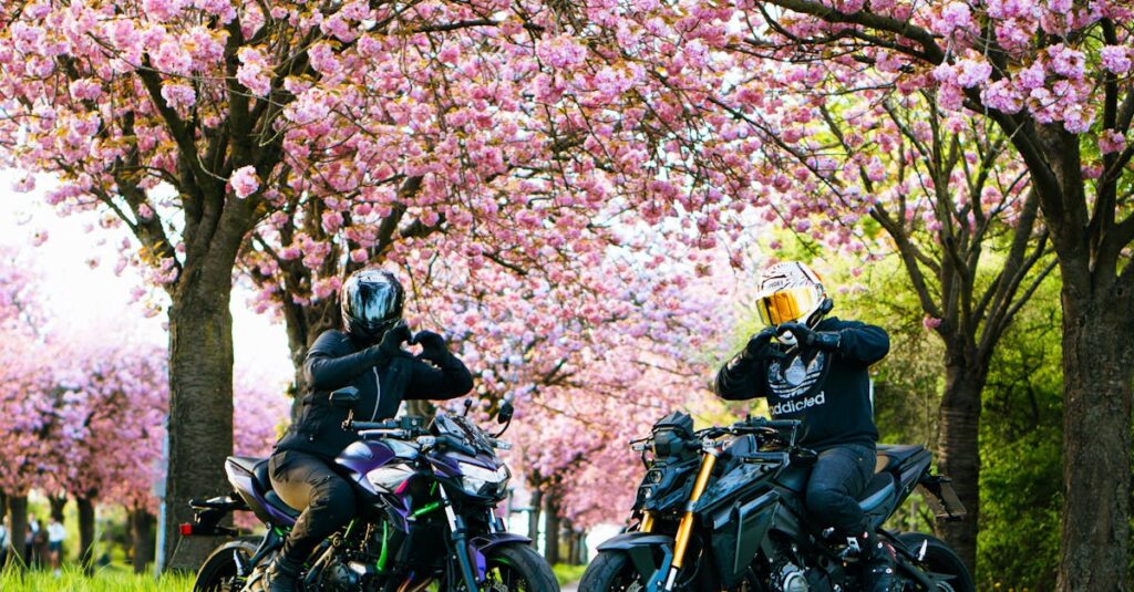 découvrez les causes du problème de 'motorcycle wobble' et comment y remédier pour assurer une conduite sécurisée et stable de votre moto.